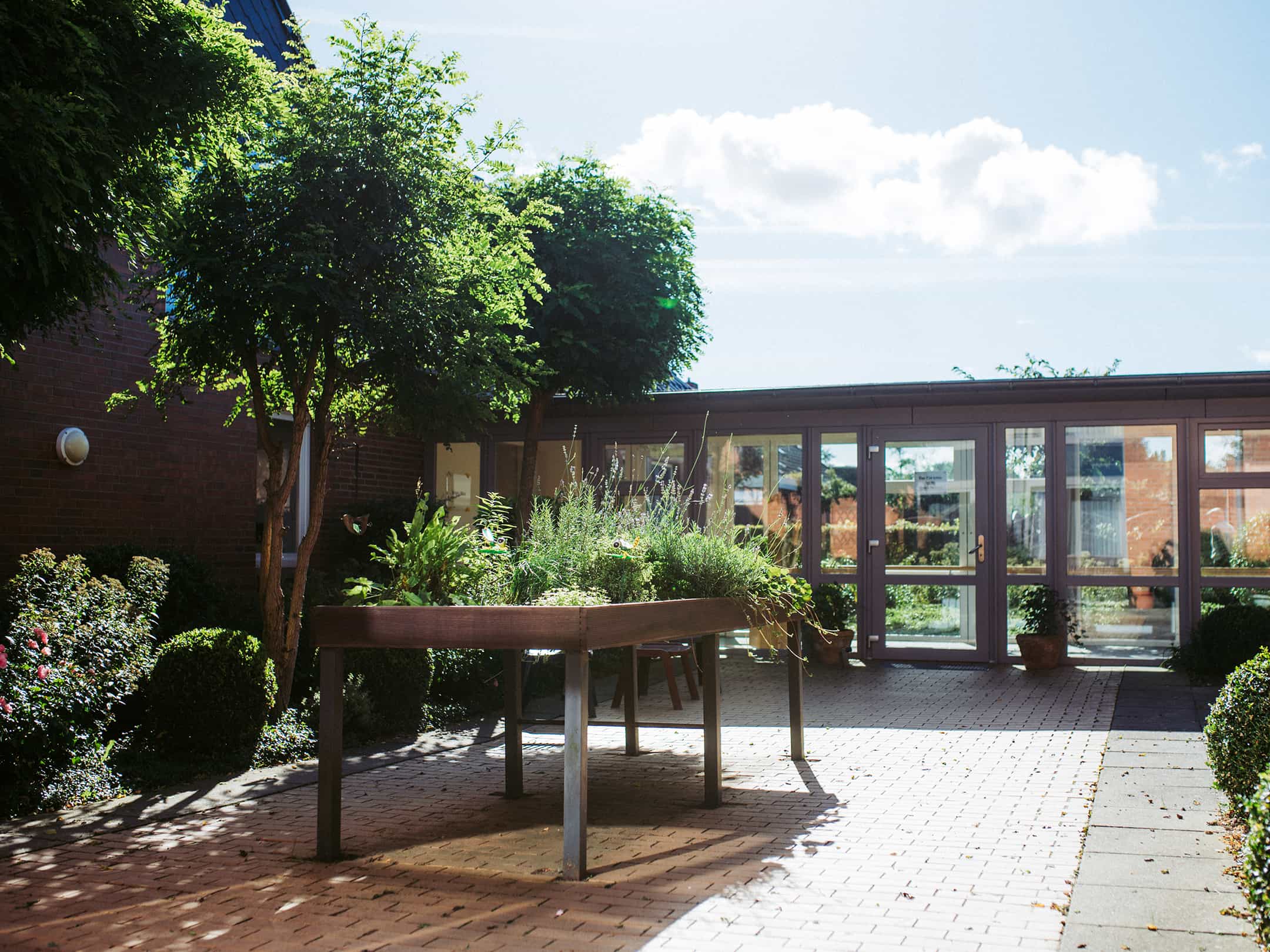 Palliativfachkraft (m/w/d) - Wir haben den passenden Job für Dich! Struckum - DRK Pflegewohnanlage Haus Sprackelbarg - Pflegia