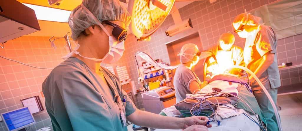 Pflegefachkraft (m/w/d) für Chirurgie (Kinderchirurgie) - Werden Sie Teil eines dynamischen Teams! Hannover - Kinder- und Jugendkrankenhaus Auf Der Bult - Pflegia