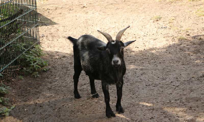 Wohnbereichsleitung (m/w/d) - Gestalte mit uns gemeinsam die Zukunft! Berlin - Senioren- und Therapiezentrum Haus Havelblick - Pflegia