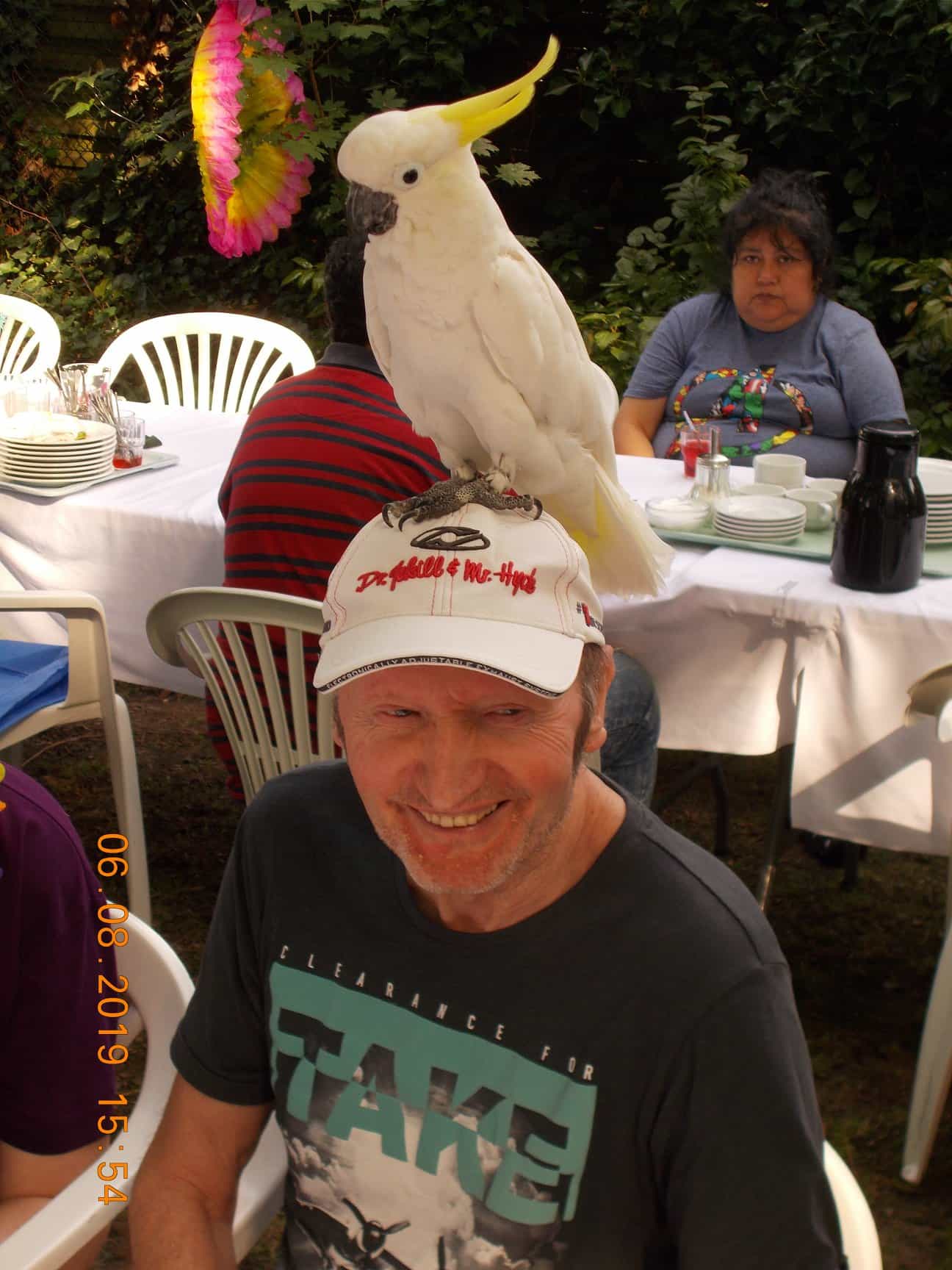 Qualitäts- und Pflegeprozessbeauftragte:r (m/w/d) - Ein Arbeitsplatz in einer familiären Arbeitsatmosphäre! Berlin - Pro Seniore Krankenheim Eichborndamm - Pflegia