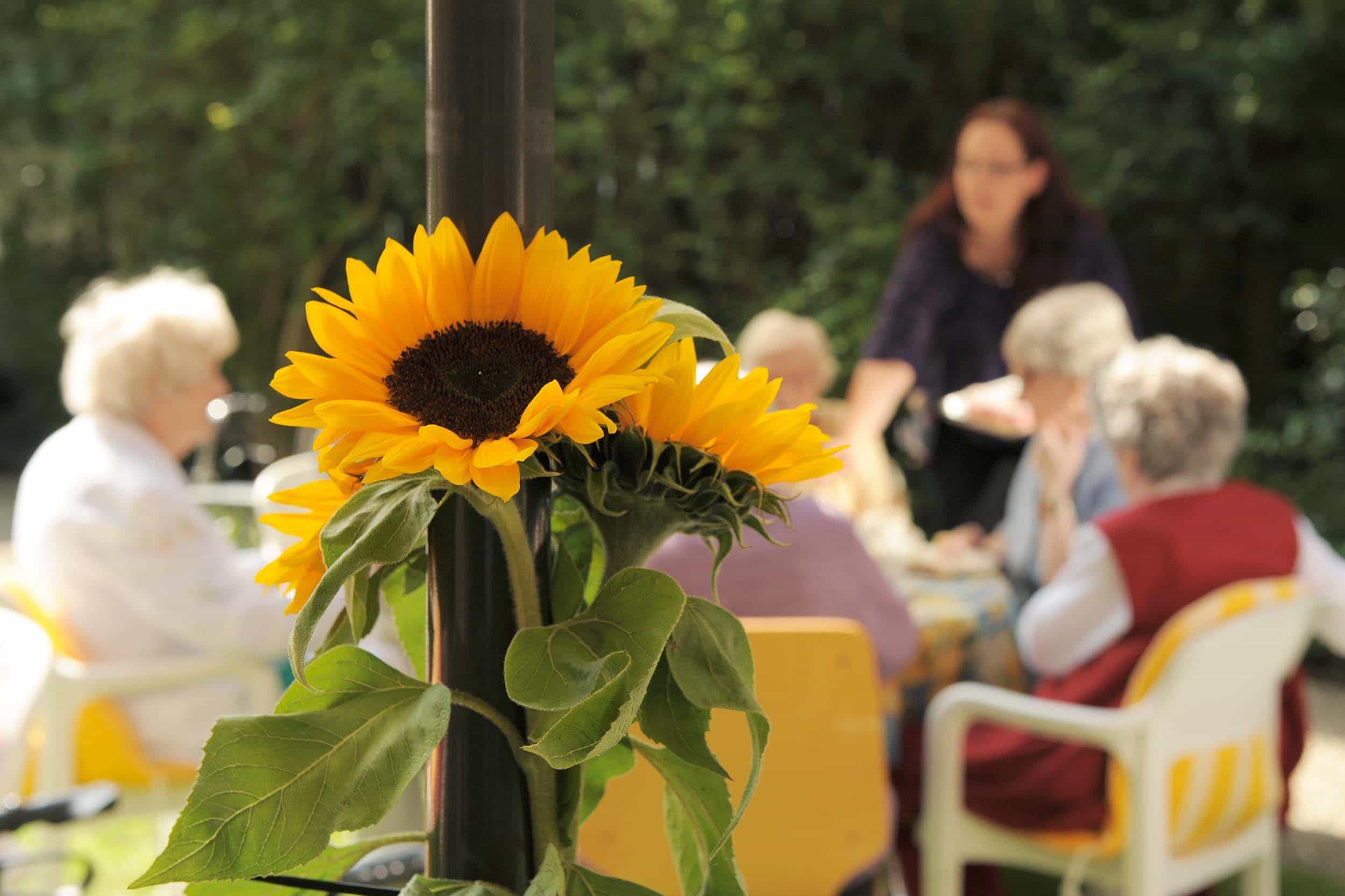 Pflegefachkraft (m/w/d) - Qualität als hohen Stellenwert! Kiel - Seniorenzentrum Kaiser Wilhelm I. Stift - Pflegia