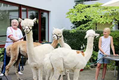 Pflegefachkraft (m/w/d) - Berufschancen und Perspektiven! Heidelberg - AGAPLESION MARIA VON GRAIMBERG - Pflegia