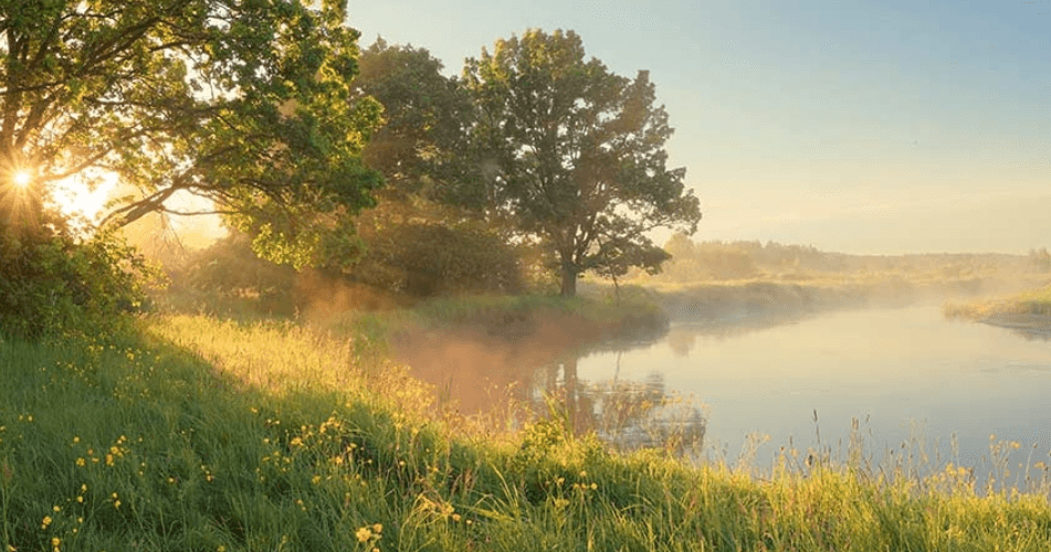 Pflegefachkraft (m/w/d) für den Tag- oder Nachtdienst - Unsere Familie sucht Zuwachs! Meinersen - Haus an den Eichen - Seershausen - Pflegia