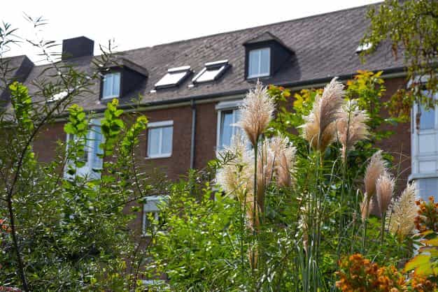 Pflegefachkraft (m/w/d) - Bei uns macht Pflege Spaß! Moers - AWO Seniorenzentrum Paul-Saatkamp-Haus - Pflegia