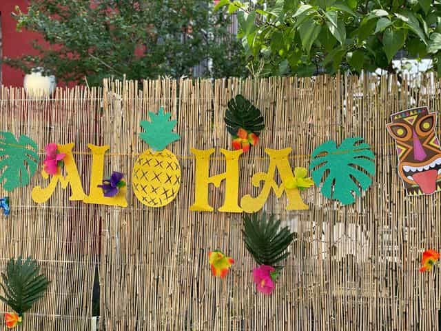 Wohnbereichsleitung (m/w/d) - Wir bieten Dir alle Möglichkeiten! Düsseldorf - PRO TALIS Seniorenzentrum An der Rotdornstraße - Pflegia