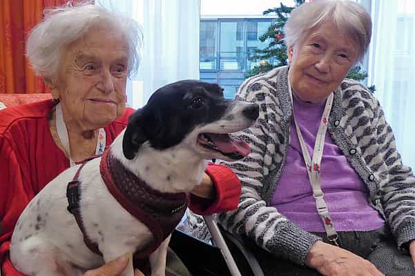 Wohnbereichsleitung (m/w/d) - Bei uns wird Herzlichkeit und Professionalität großgeschrieben! Dresden - Vitanas Senioren Centrum Am Sternplatz - Pflegia
