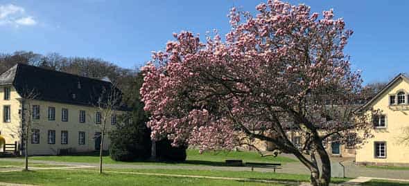 Pflegefachkraft (m/w/d) für unser gerontopsychiatrisches Pflegezentrum - Werden Sie Teil unseres Teams! - MARIENBORN Altenheim Kloster Heisterbach - Pflegia