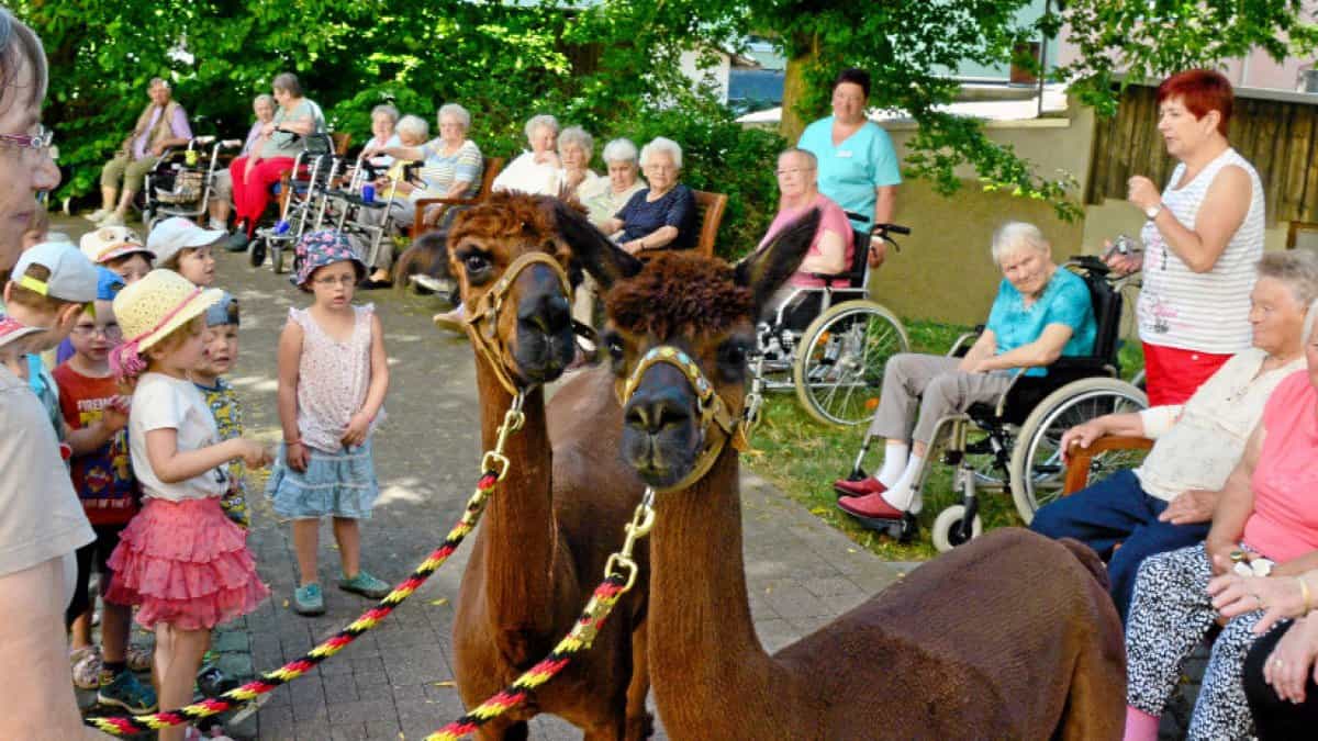 Pflegefachkraft (m/w/d) - Dein neuer Arbeitsplatz in einem Team, auf das Du zählen kannst! Greiz - Senioren- und Pflegeheim „Haus Kolin“ - Pflegia