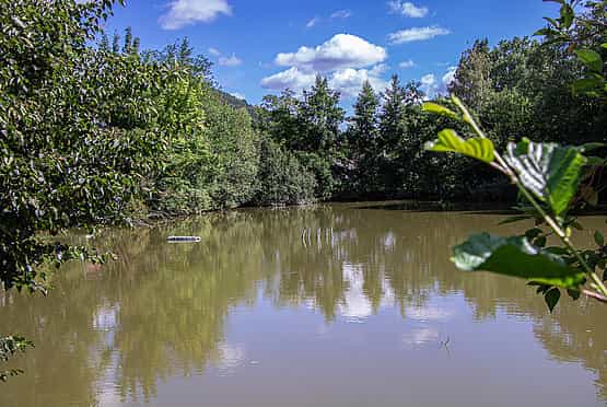Pflegefachkraft (m/w/d) - Gestalte mit uns die Zukunft! Höchst im Odenwald - Altenpflegeheim Haus Am See - Pflegia