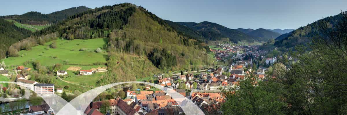 Pflegefachkraft (w/m/d) in VZ oder mind. 50% TZ - Kommen Sie in unser Team! Wolfach - Brenzheim (Johannes Brenz Pflegeheim) - Pflegia