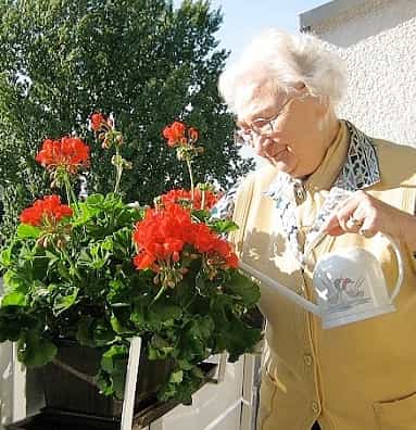 Pflegefachkraft (m/w/d) - Dein neuer Arbeitsplatz in einem eingespielten Team! Essen - Johannes-Heim - Pflegia