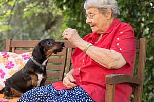 Pflegefachkraft (m/w/d) als Dauernachtdienst - Werde Teil des Teams! Berlin - Vitanas Senioren Centrum Bellevue - Pflegia