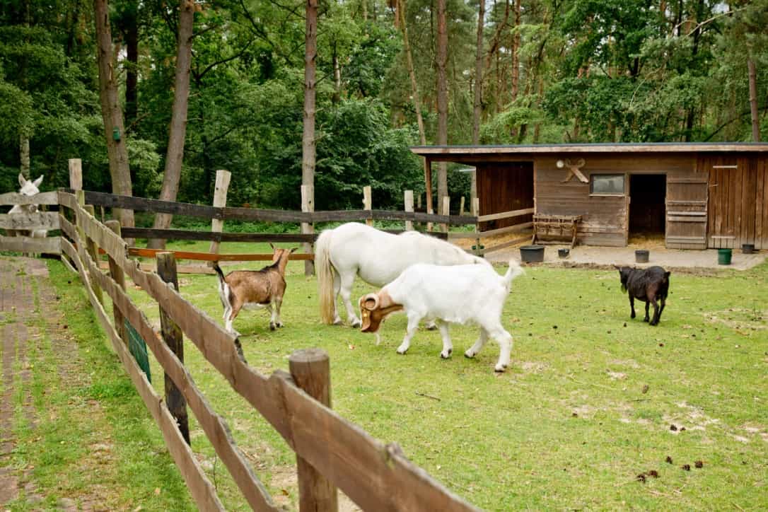 Pflegehilfskraft (w/m/d) - jetzt Teil des Teams werden! Garstedt - Seniorenzentrum Garstedt Haus am Berg GmbH - Pflegia
