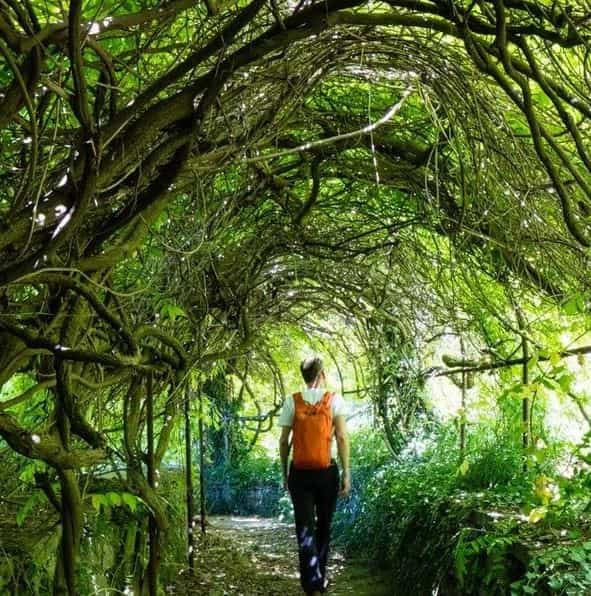 Pflegefachkraft (m/w/d) - Wir freuen uns auf Deine Verstärkung! Gundelsheim - Pflegestift Gundelsheim - Pflegia