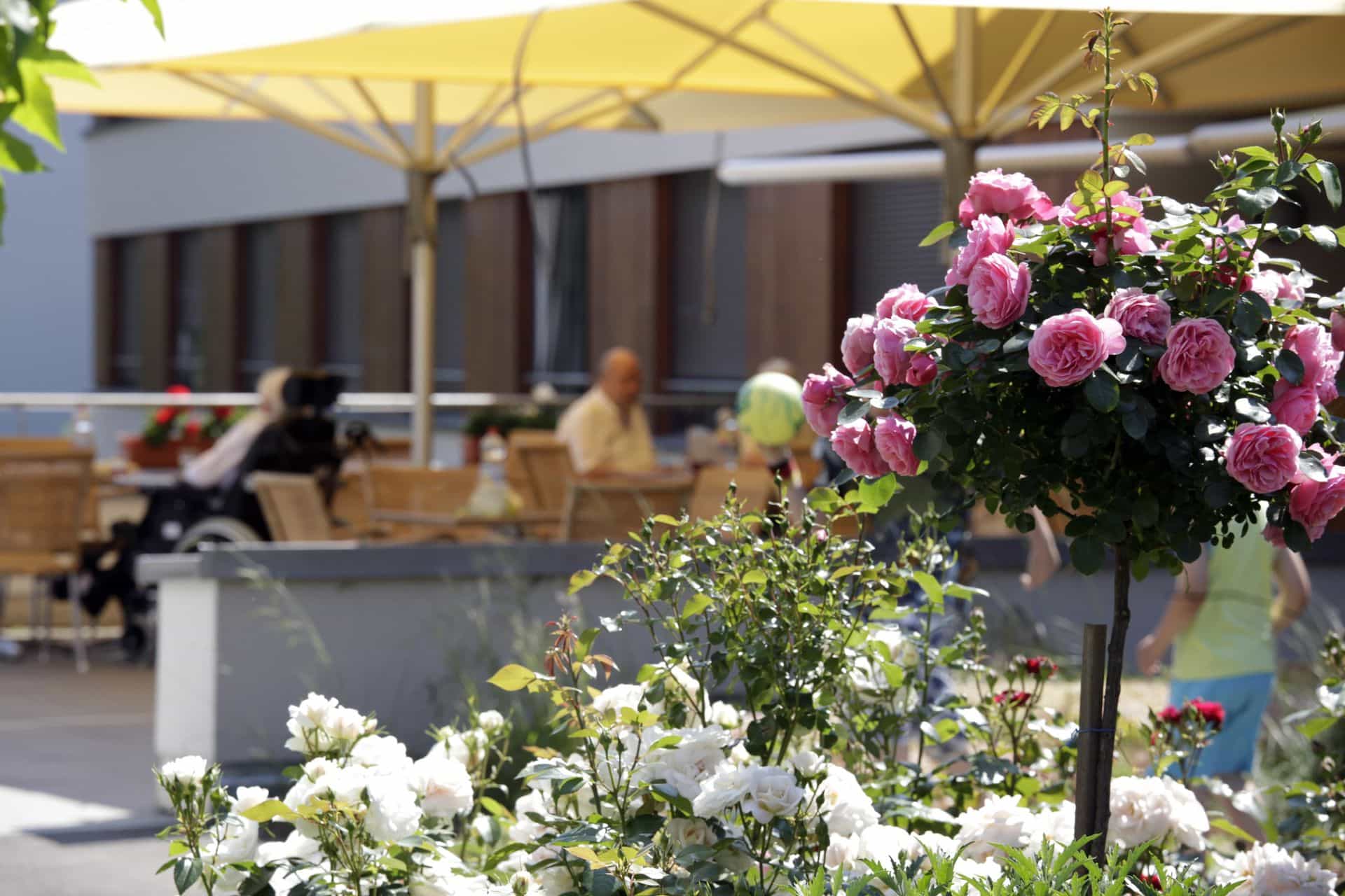 Pflegefachkraft (m/w/d) - Professionell und menschlich! Reutlingen - Seniorenzentrum Gertrud Luckner Reutlingen - Pflegia