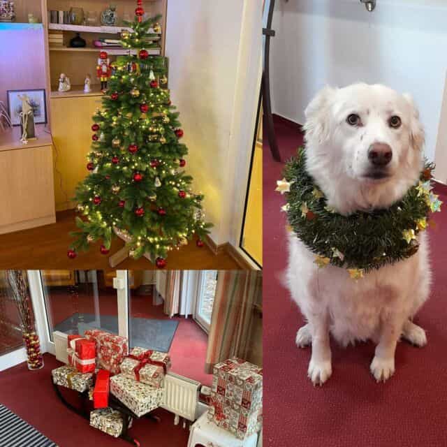 Pflegefachkraft (m/w/d) für den 3-Schichtdienst - Dein neuer Arbeitsplatz in einem Team, auf das Du zählen kannst! Düsseldorf - Emvia Senioren-Wohnpark Düsseldorf Volksgarten - Pflegia