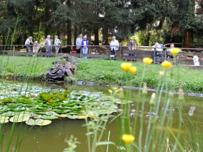 Pflegefachkraft als Dauernachtwache (m/w/d) in Teilzeit (50%) - Wir freuen uns auf Sie!  Püttlingen - Caritas SeniorenHaus St. Augustin - Pflegia