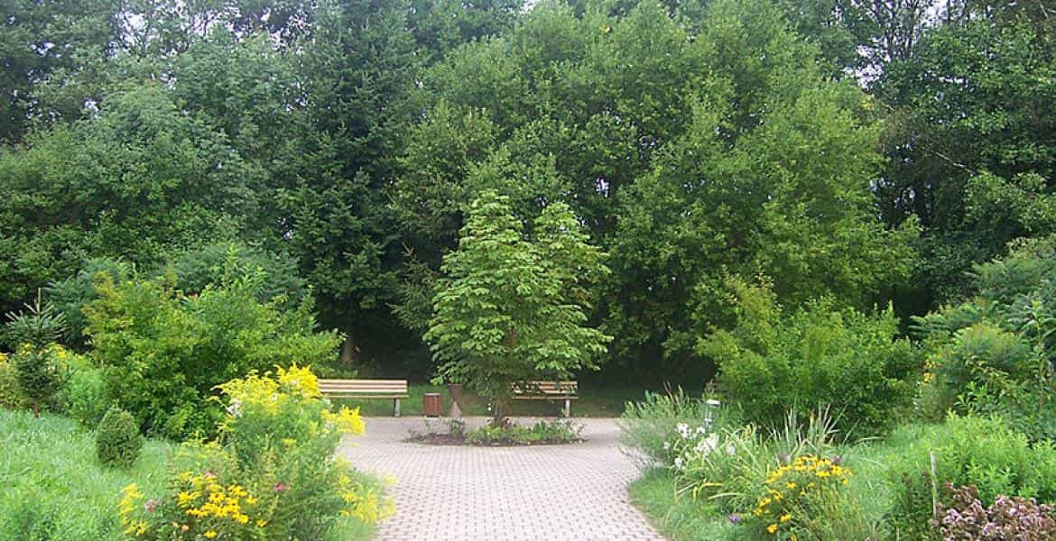 Pflegefachkraft (m/w/d) - Komm in unser Team! Geratal - Pro Seniore Residenz Rosental - Pflegia