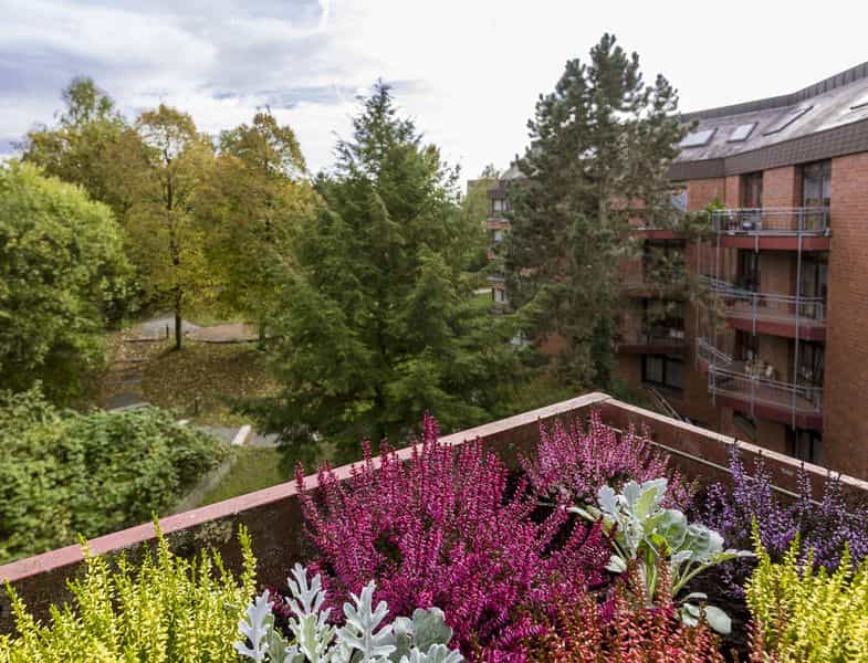 Pflegefachkraft (w/m/d) - Familiär zusammenarbeiten Gelsenkirchen - CURA Seniorencentrum Gelsenkirchen GmbH - Pflegia