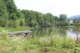 Pflegefachkraft (m/w/d) - Herzlich willkommen! Goslar - Stella Vitalis Seniorenzentrum Goslar - Pflegia