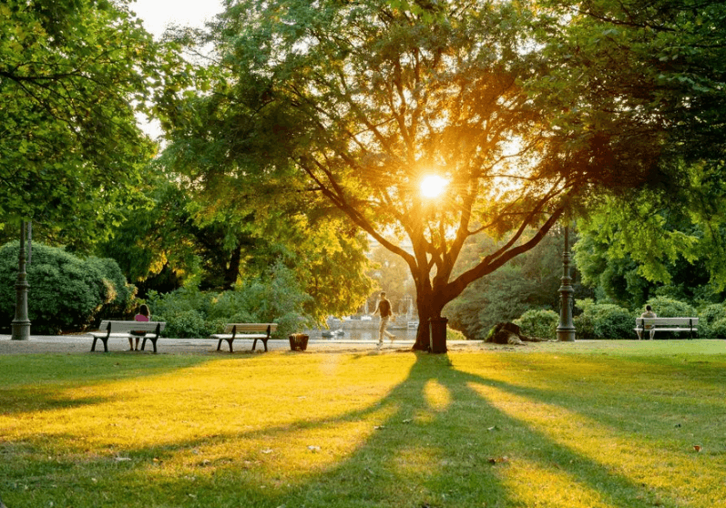 Gerontopsychiatrische Fachkraft (m/w/d) – Wir suchen Zuwachs in unserem Team! Wiesbaden - GDA Hildastift am Kurpark - Ambulant - Pflegia