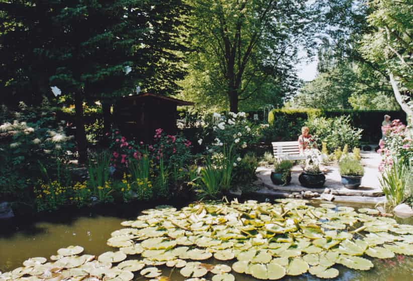 Pflegefachkraft (w/m/d) - Hier sind Sie richtig! Stadthagen - Rosenblatt Seniorensitz - Pflegia