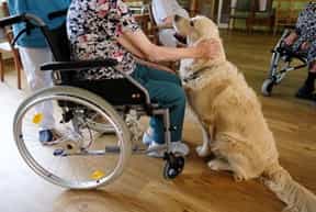 Pflegefachkraft (w/d/m) - Hier sind Sie willkommen!  Döbeln - AWO Seniorenzentrum "Bürgerheim" - Pflegia