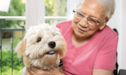 Wohnbereichsleitung (m/w/d) - Zusammen einfach gut pflegen! Berlin - Residenz Ambiente Berlin - Pflegia