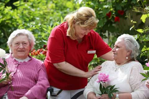 Pflegefachkraft (m/w/d) - Wir freuen uns auf Ihre Unterstützung!  Bamberg - Caritas-Pflegezentrum St. Walburga - Pflegia