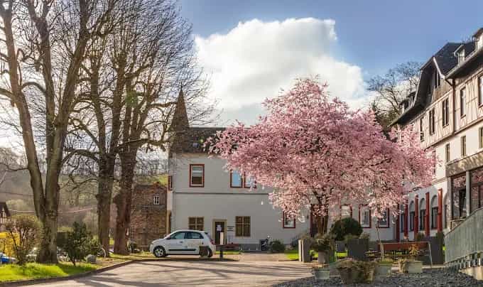 Pflegefachkraft (m/w/d) – Wir suchen Zuwachs in unserem Team! Rheinbrohl - Rheinwaldheim Ev. Altenhilfe gGmbH - Pflegia