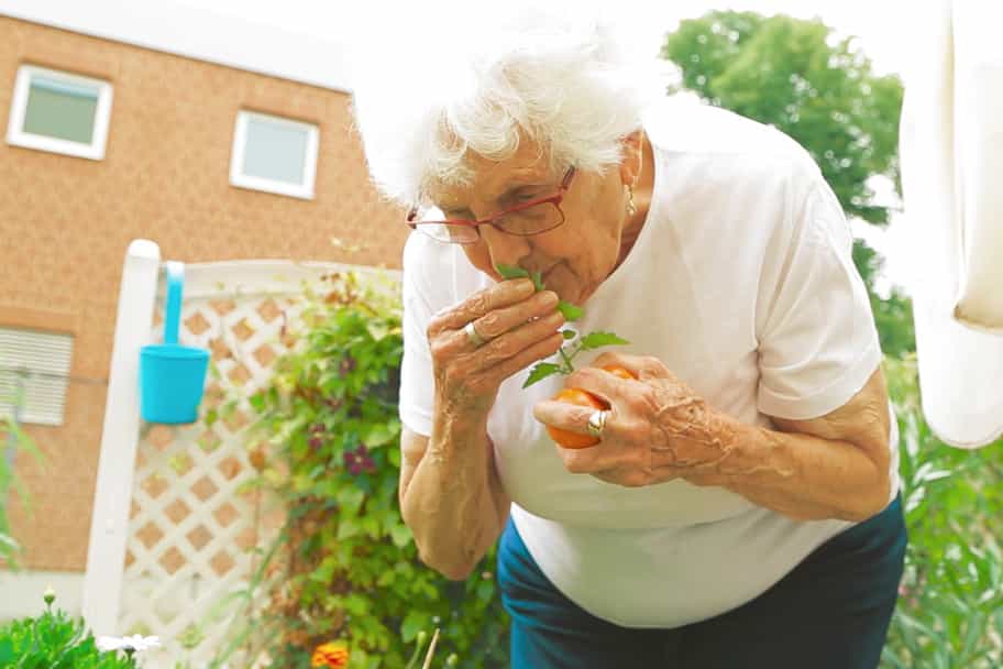 Altenpfleger:in als Springer:in (m/w/d) - Werde unser:e Held:in! Berlin - Vitanas Senioren Centrum Am Schäfersee - Pflegia
