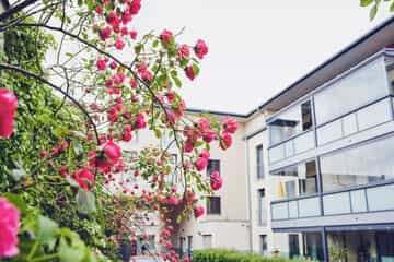 Pflegefachkraft (m/w/d) - Dein Bestes können wir bestens gebrauchen! Uetersen - Johanniter Haus Am Rosarium - Pflegia