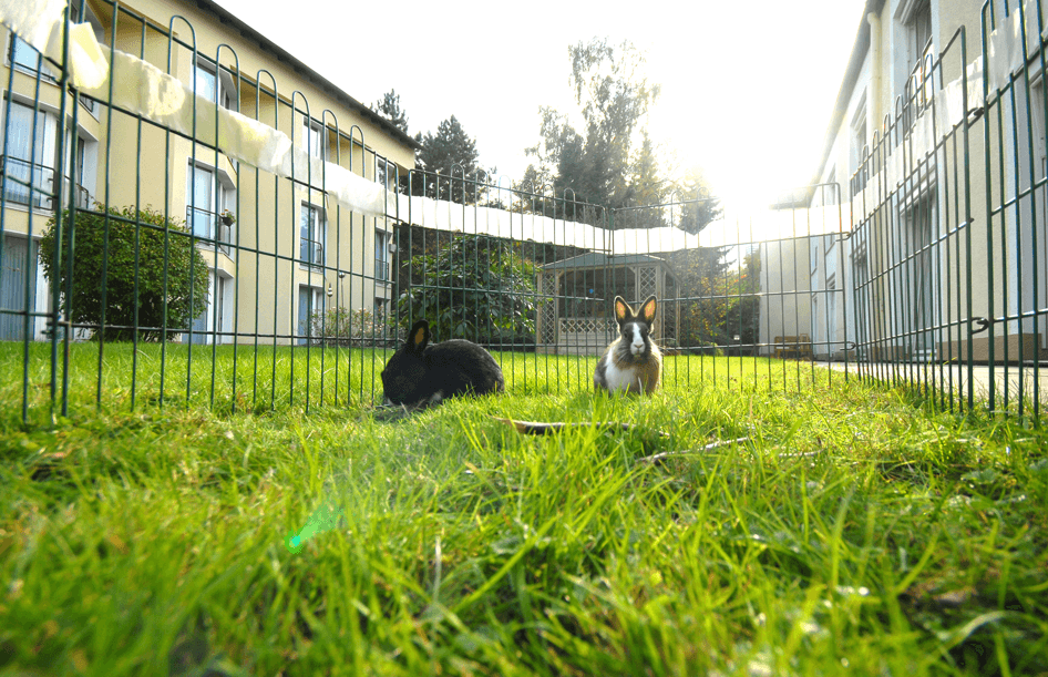 Pflegefachkraft (m/w/d) - Gemeinsam Gutes tun! Wuppertal - Ev. Altenwohnstätte Zeughausstraße - Pflegia