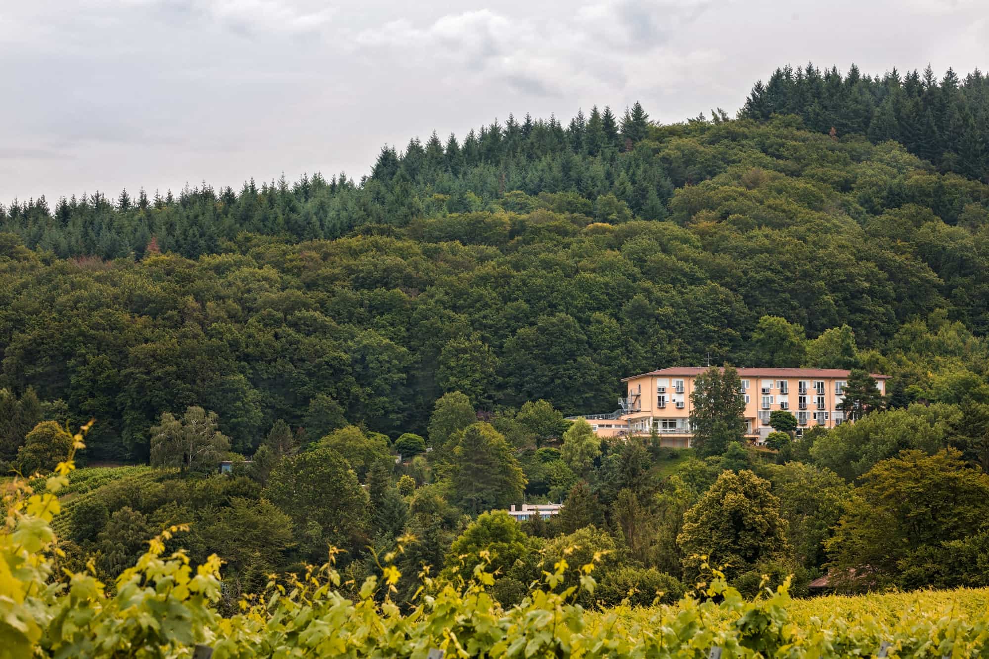 Geronto-Fachkraft (m/w/d) - Komm ins Team! - aczepta Haus Erich Fried - Pflegia