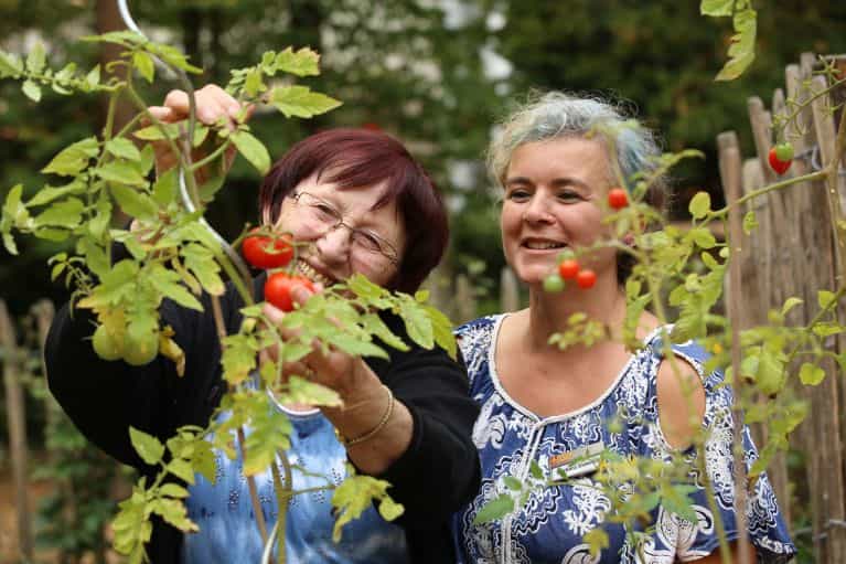 Pflegefachkraft (m/d/w) in Teilzeit - Wir unterstützen Dich individuell! Mainz - ASB Karl-Delorme-Haus - Pflegia