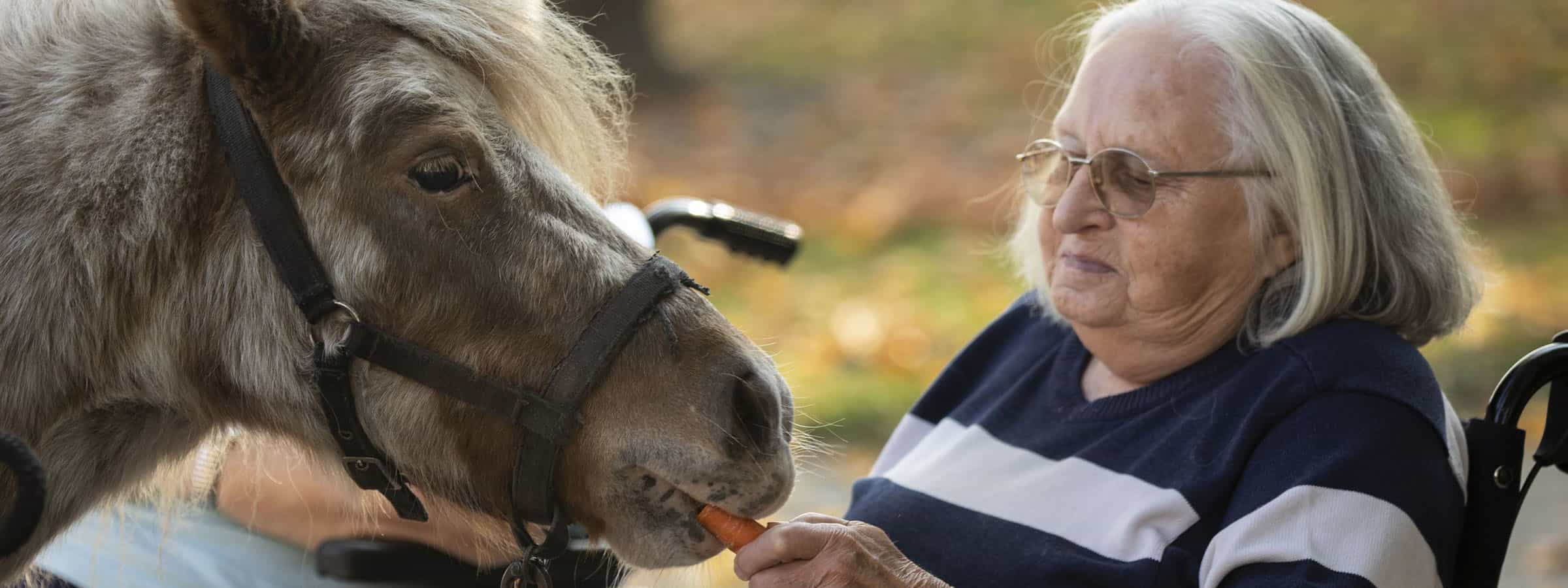 Stellvertretende Wohnbereichsleitung (w/d/m) - Wir wollen Dich bei uns haben! Peine - Altenpflegeheim Woltorf - Pflegia