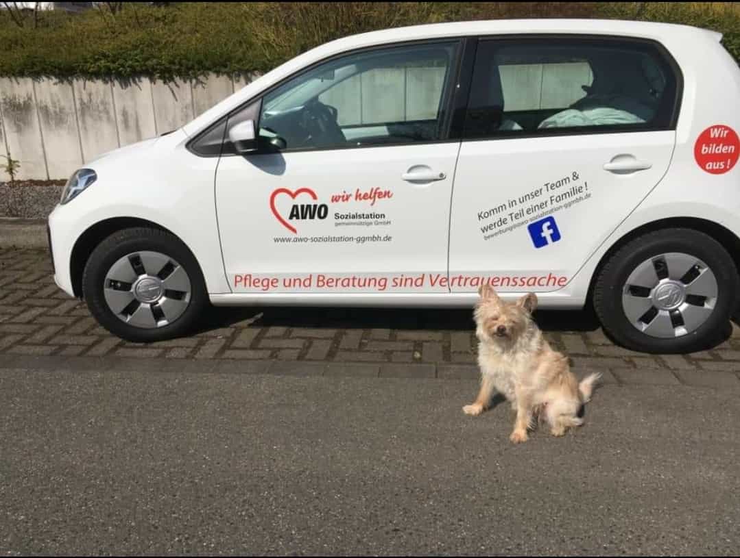 Pflegefachkraft (m/w/d) in Teilzeit (30-33 Stunden/Woche) - Familiäres Team sucht Zuwachs! Langenfeld (Rheinland) - Sozialstation Langenfeld - Pflegia