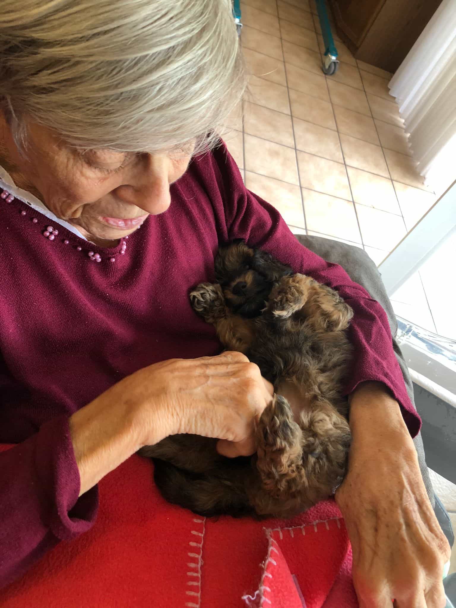 Pflegefachkraft (w/m/d) - Wir suchen Dich! Düsseldorf - Gemeinnützige Stiftung für Seniorenbetreuung Angermund Ambulante Pflege - Pflegia