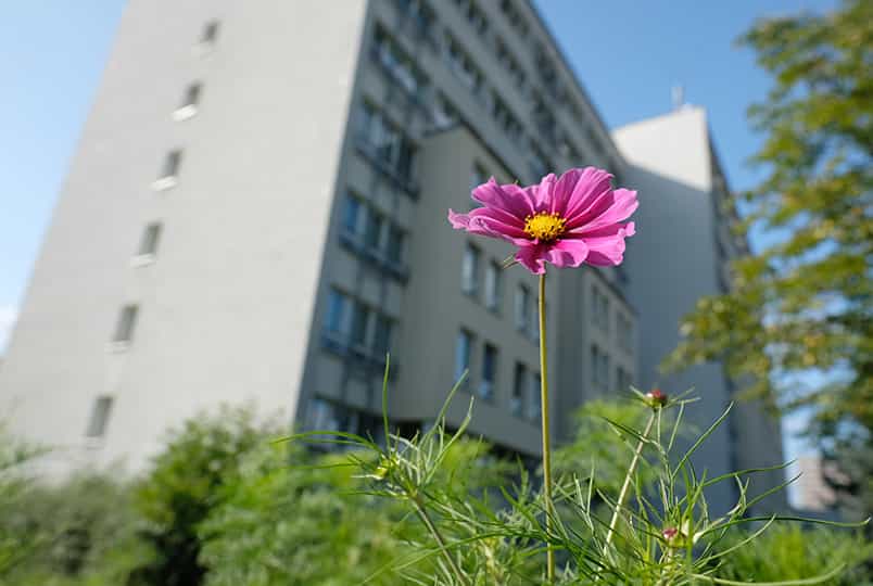 Pflegefachkraft (m/w/d) - Werden Sie unser Herzstück! Leipzig - AWO Seniorenzentrum "Clara Zetkin" - Pflegia