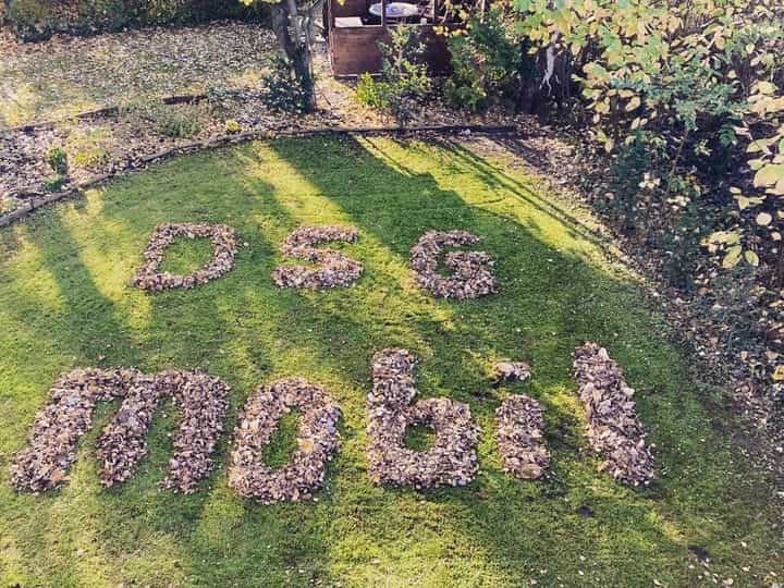 Gelernte Pflegehilfskraft (m/w/d) im Frühdienst (Mo-Fr) - Wir freuen uns auf Dich! - DSG mobil Potsdam - Pflegia