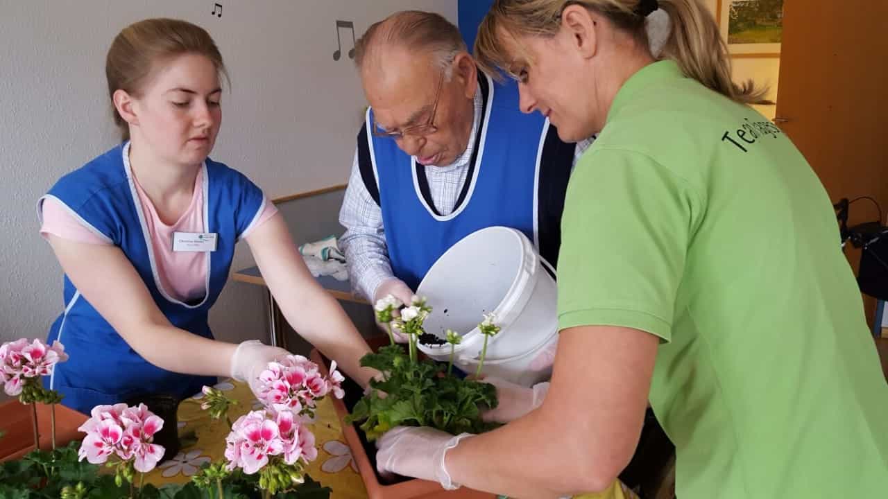 Pflegefachkraft als Dokumentationsbeauftragte:r (m/w/d) - Werde Teil des Startteams! Bad Eilsen - Senioren-Park carpe diem Bad Eilsen - Pflegia