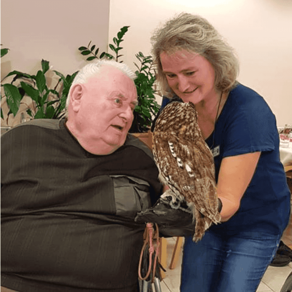 Pflegefachkraft (m/w/d) - Werde Teil unseres Teams! Pirna - AlexA Seniorenresidenz Pirna - Pflegia