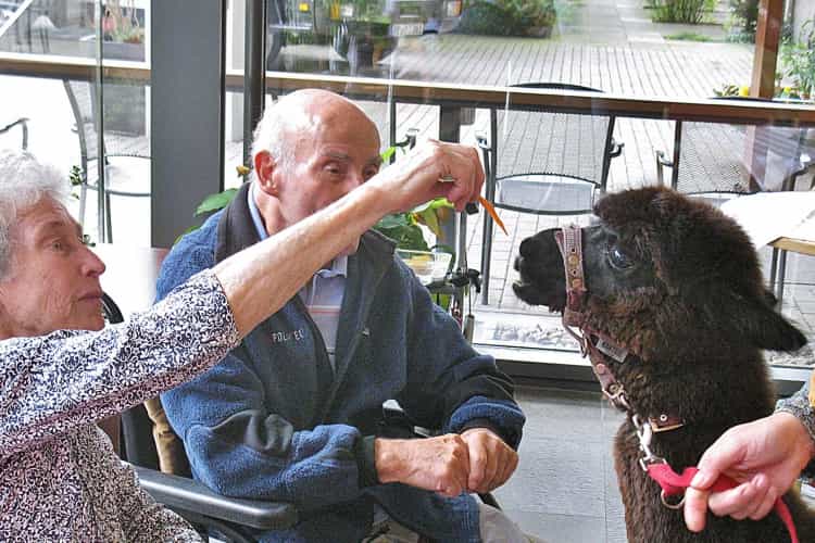 Wohnbereichsleitung (m/w/d) - Wir suchen Zuwachs in unserem Team! Hamburg - Diesterweg-Stiftung - Pflegia