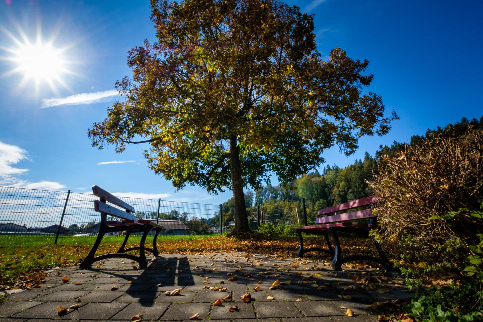 Pflegehilfskraft (w/m/d) - Bei uns finden Sie Ihren Traumjob! Palling - Haus Palling - Pflegia