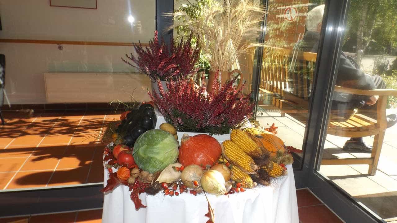 Pflegefachkraft (m/w/d) - Humor am Arbeitsplatz wird bei uns gern gesehen! Minden - Senioren-Park carpe diem Minden - Pflegia