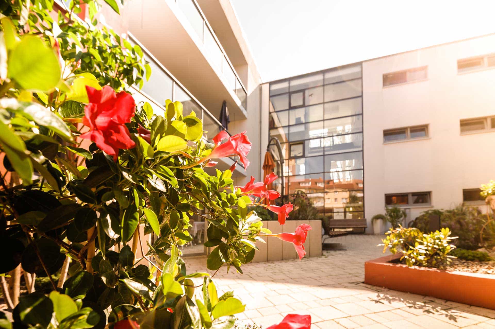 Gelernte Pflegehilfskraft (m/w/d) - Auf zu neuen Ufern!  Wismar - Seniorenpflegeheim Haus Seestern - Pflegia