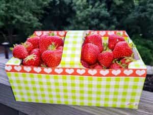 Gelernte Pflegehilfskraft (m/w/d) - Bei uns kannst Du Dich geborgen fühlen! Oberkirch - Seniorenzentrum St. Barbara Oberkirch - Pflegia