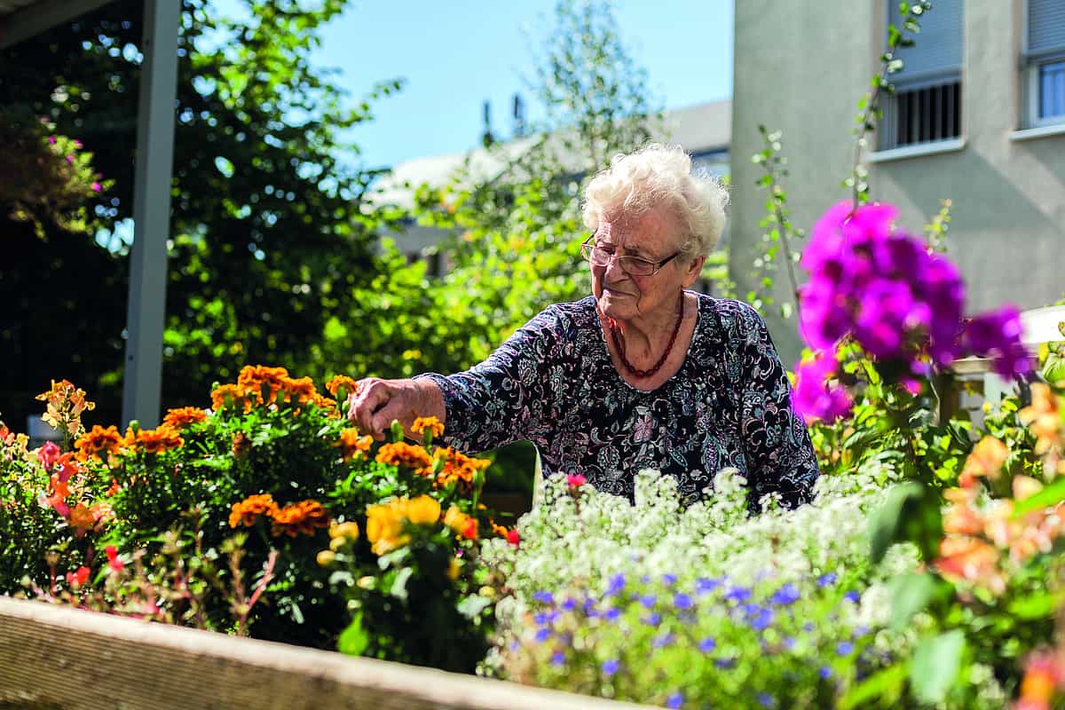 Pflegefachkraft (m/w/d) - Dein neuer langfristiger Arbeitsplatz! Dresden - Vitanas Senioren Centrum Am Blauen Wunder - Pflegia