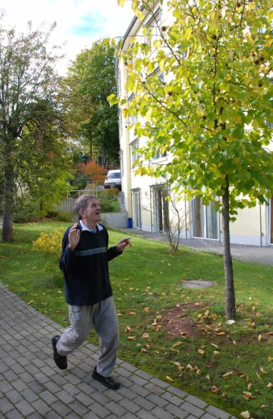Pflegefachkraft (m/w/d) in Teilzeit (50%) - Wir wollen Dich! - Haus Pfalzblick - Pflegia