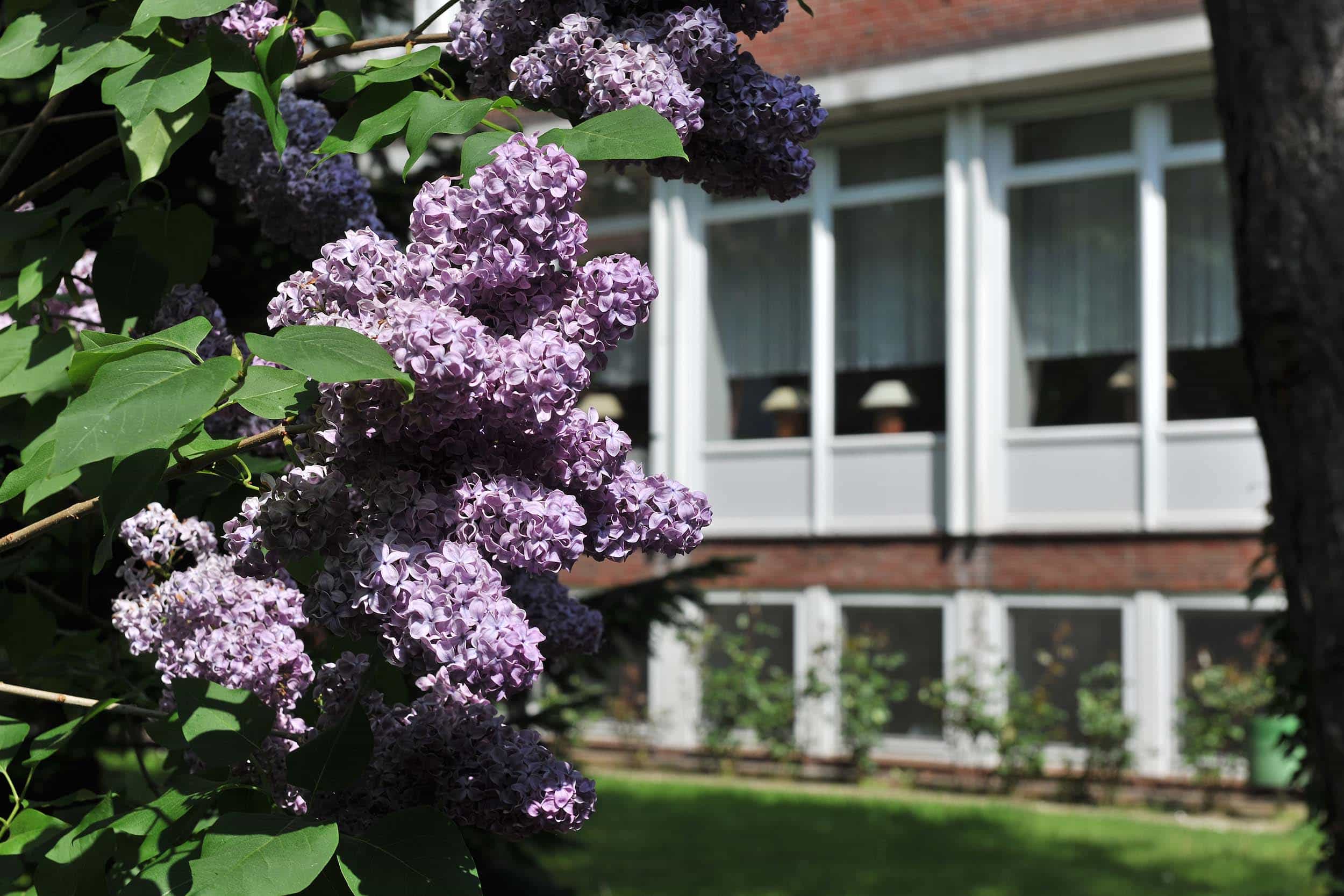 Pflegefachkraft (m/w/d) - Qualität als hohen Stellenwert! Kiel - Seniorenzentrum Kaiser Wilhelm I. Stift - Pflegia